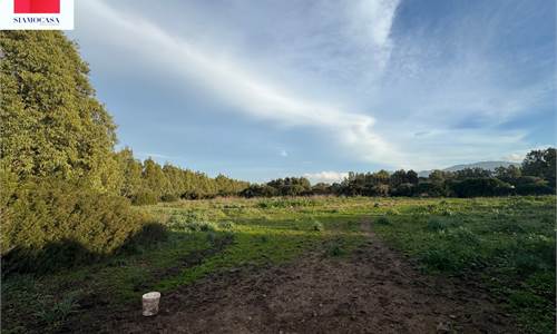 Terreno agricolo di circa 15.000 mq