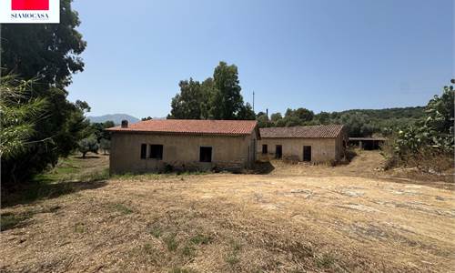 Ampio terreno con diversi ricoveri attrezzi