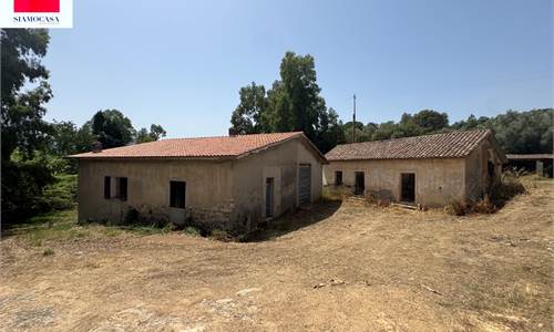 Ampio terreno con diversi ricoveri attrezzi